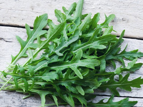 Semi sementi rucola - sementi,
