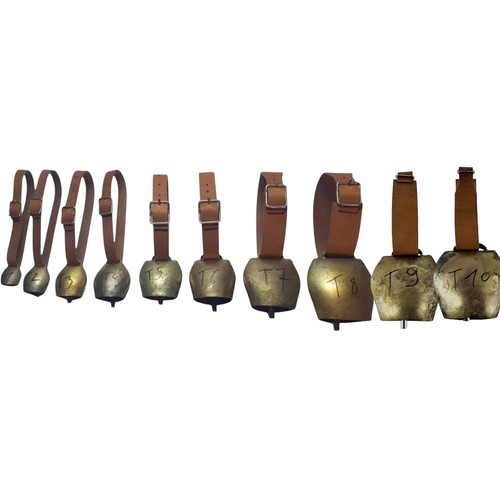 Campane modello tonda per