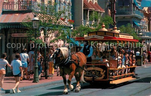 Walt disney world - disney,