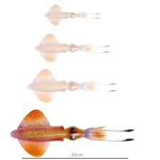 Savage gear swimsquid - savage,