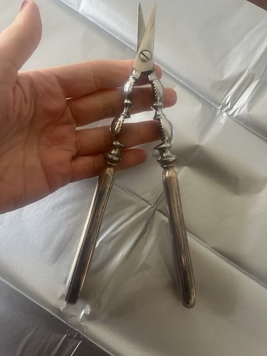 Taglia uva argento - uva,