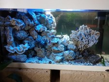 Ferplast dubai acquario 100 - ferplast,