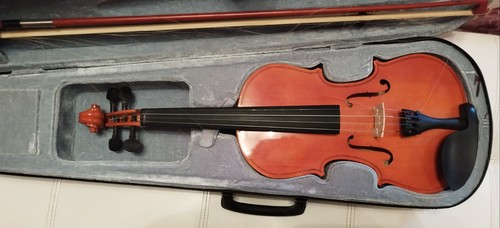 Violino con custodia