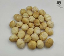 Noci di Macadamia Crude 40g - 1,95Kg Qualità Premium