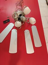 Ventilatore Da Soffitto Con Lampadario