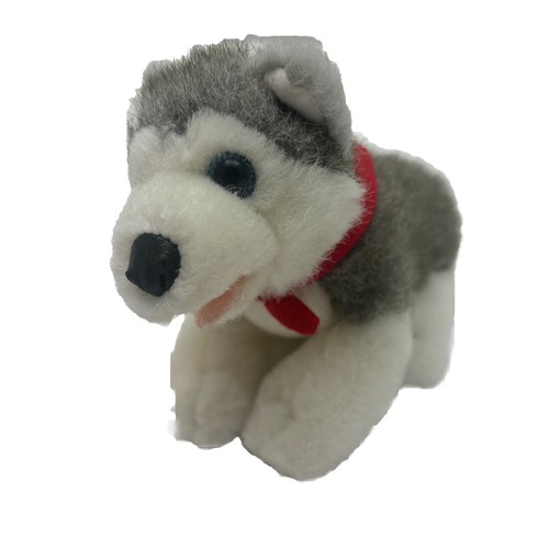 Husky cucciolo cane grigio - cucciolo,