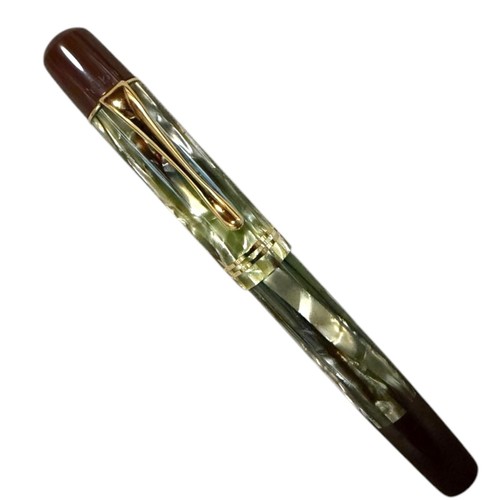 Pelikan m101n tortoise brown - tortoise,