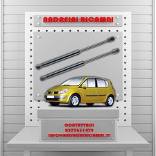 2 MOLLE A GAS BAGAGLIAIO