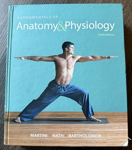 Fundamentals anatomy - of, &