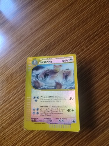 Ursaring 110 144 - ursaring, 110/144
