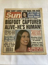 1986 February 4 Sun News