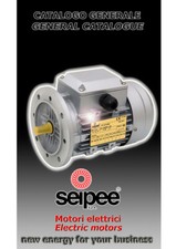 MOTORI ELETTRICI SEEIPE DA KW