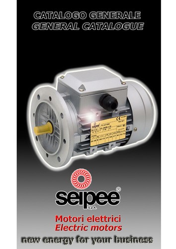Motori elettrici seeipe kw - elettrici, da