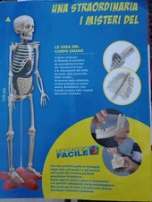 Vendo Collezione INCOMPLETA