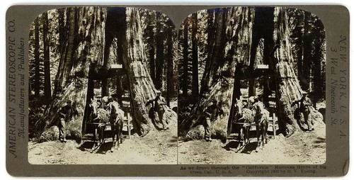 Yosemite stereoview carro - yosemite,