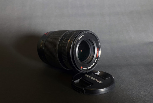 Panasonic lumix vario - g,