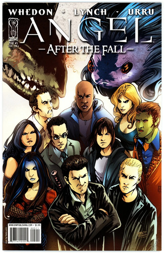 Angel after the fall - angel:,