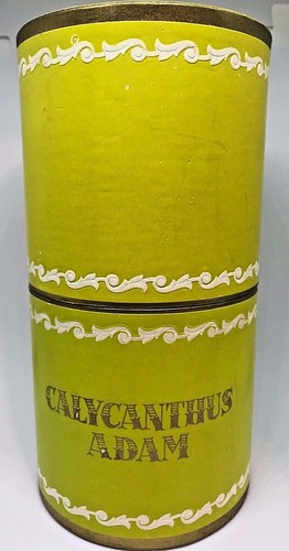 Antica scatola profumo - , da