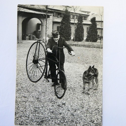 Foto con bici - bici,