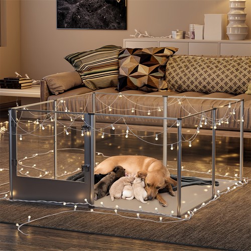 Box per cani - , in