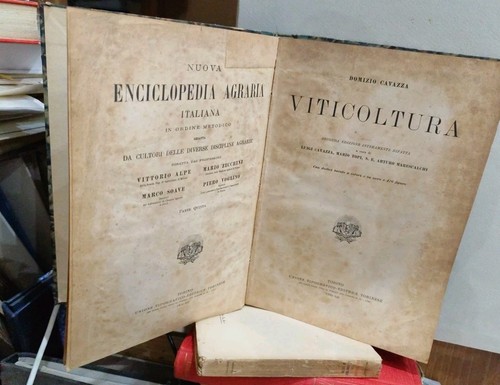 Cavazza viticoltura 1934 - cavazza,