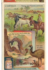 S984 - CHROMO LIEBIG - 1910 -