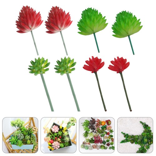 Pezzi set di piante - ,