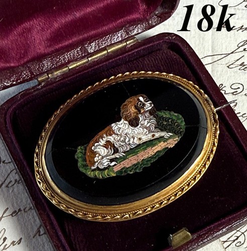 Antico spaniel micro mosaico - spaniel,