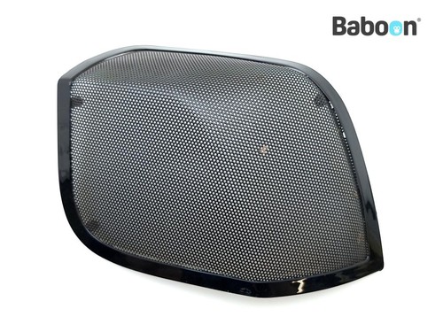 Speaker radio sinistro