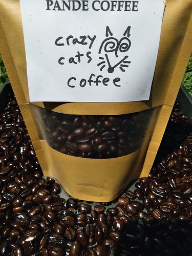 100 grammi autentico kopi