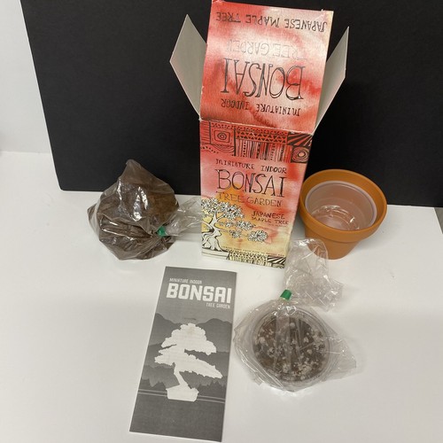 Bonsai miniatura interno - in, da