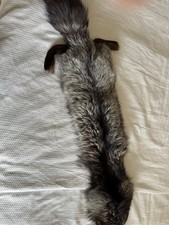 Stola di pelliccia volpe