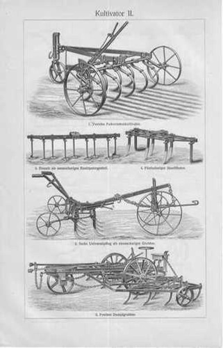 Incisione 1905 coltivatore - incisione,