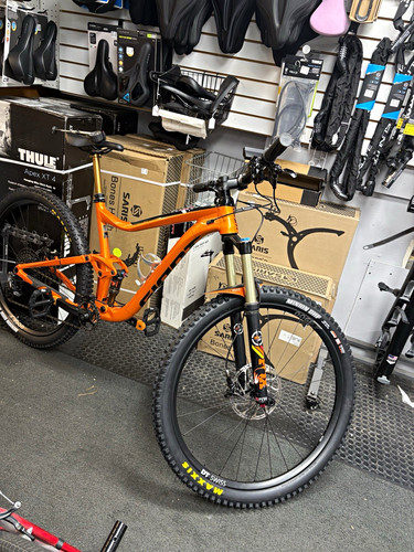 Giant trance 29er large custom