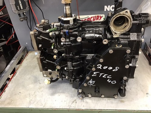 Testina potenza evinrude - testina, di