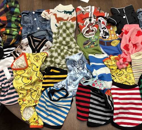 Lotto vestiti per cani - vestiti,