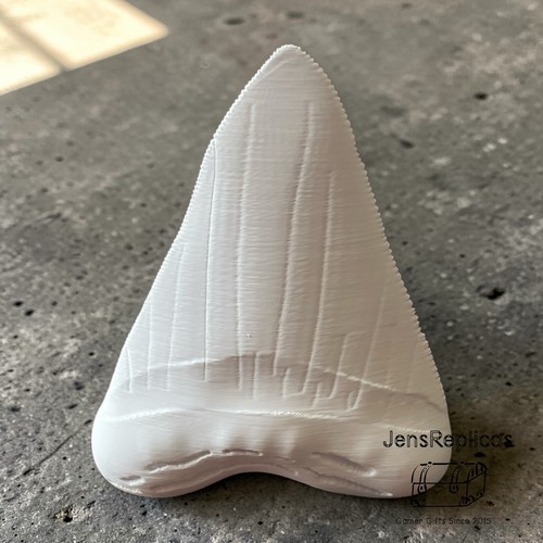 Dente megalodonte jurassic meg - dente,