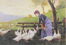 LUDOVICO TOMMASI? ALIMENTATION