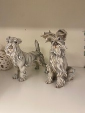 coppia cani ceramica