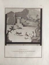 Antichità Ercolano -