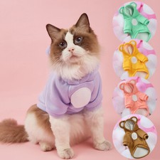 Maglione maglione cane piccolo