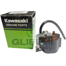 Ignition coil brushcutter