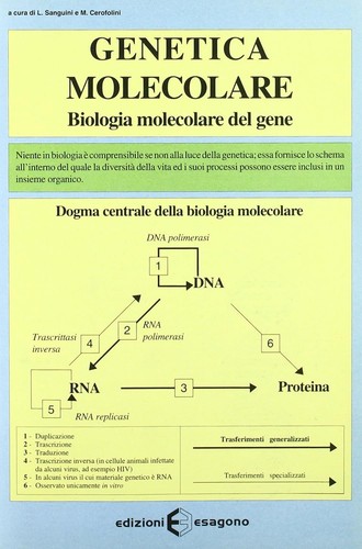 Genetica molecolare biologia - genetica, molecolare.