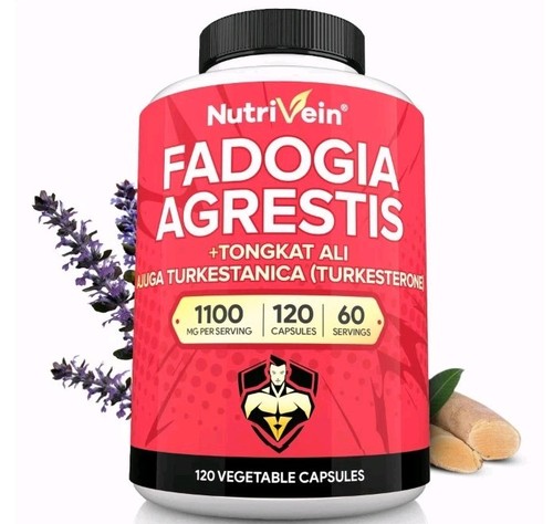 Fadogia agrestis with - agrestis, tongkat