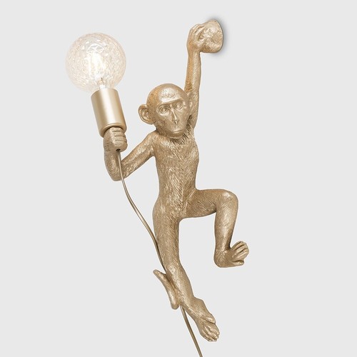 Modern monkey holding - modern,