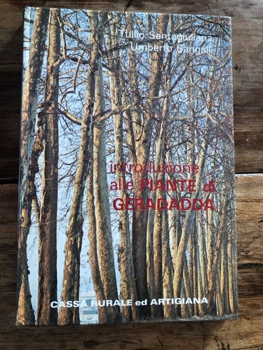 Introduzione alle piante - piante, di