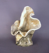 Vaso ceramica artigianato