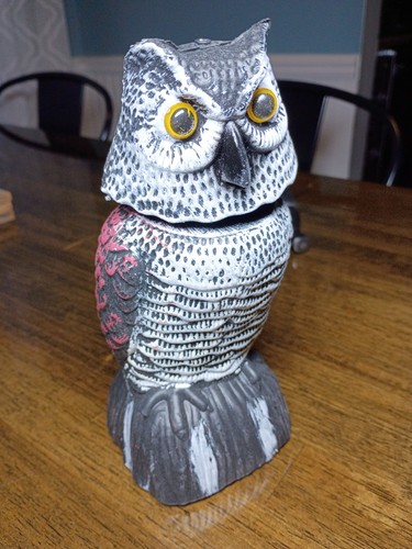 Bobblehead gufo esca - gufo,