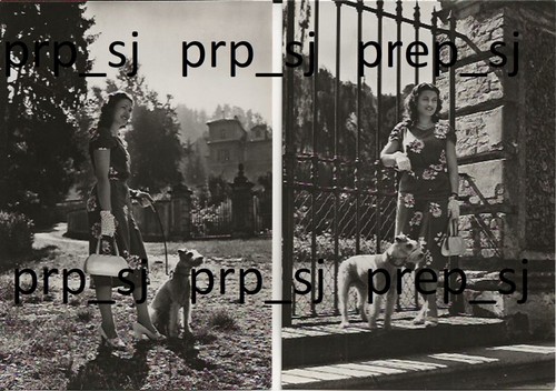 Fotografia signorina con cane - con,