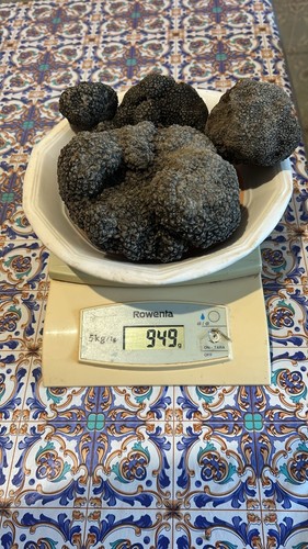 Tartufo nero estivo fresco - tartufo,